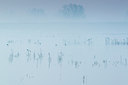 BUITEN BEELD Foto: 257702
