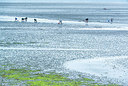BUITEN BEELD Foto: 257750