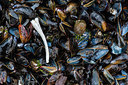 BUITEN BEELD Foto: 257765