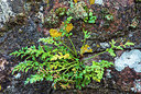 BUITEN BEELD Foto: 257820