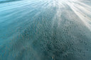 BUITEN BEELD Foto: 257829