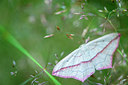 BUITEN BEELD Foto: 257862