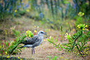 BUITEN BEELD Foto: 257864