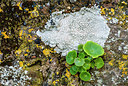 BUITEN BEELD Foto: 257895