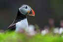 BUITEN BEELD Foto: 257925