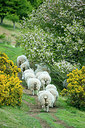 BUITEN BEELD Foto: 257992