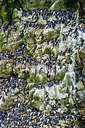 BUITEN BEELD Foto: 257994
