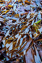 BUITEN BEELD Foto: 257996