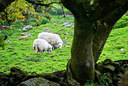 BUITEN BEELD Foto: 258019