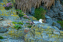 BUITEN BEELD Foto: 258119