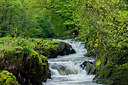 BUITEN BEELD Foto: 258172