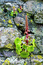 BUITEN BEELD Foto: 258179