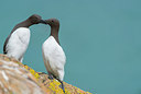 BUITEN BEELD Foto: 258209