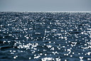 BUITEN BEELD Foto: 258316