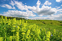 BUITEN BEELD Foto: 258323