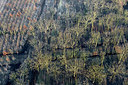 BUITEN BEELD Foto: 258435