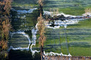 BUITEN BEELD Foto: 258444