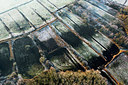 BUITEN BEELD Foto: 258460
