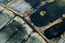 BUITEN BEELD Foto: 258483
