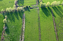 BUITEN BEELD Foto: 258658