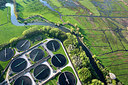 BUITEN BEELD Foto: 258664