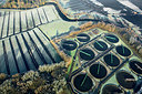 BUITEN BEELD Foto: 258760