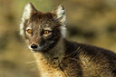 BUITEN BEELD Foto: 258872