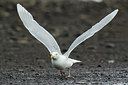BUITEN BEELD Foto: 258887
