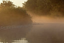 BUITEN BEELD Foto: 258914