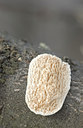 BUITEN BEELD Foto: 25086