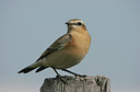 BUITEN BEELD Foto: 25106