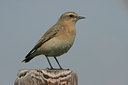 BUITEN BEELD Foto: 25107