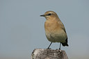 BUITEN BEELD Foto: 25108