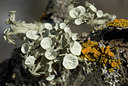 BUITEN BEELD Foto: 25164