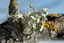 BUITEN BEELD Foto: 25165