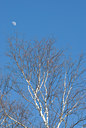 BUITEN BEELD Foto: 25167