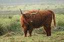 BUITEN BEELD Foto: 25306