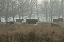 BUITEN BEELD Foto: 25316