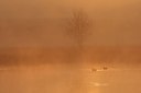 BUITEN BEELD Foto: 25318