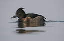 BUITEN BEELD Foto: 25404