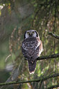 BUITEN BEELD Foto: 25468