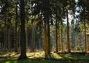 BUITEN BEELD Foto: 25482