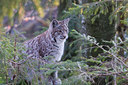 BUITEN BEELD Foto: 25559