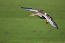 BUITEN BEELD Foto: 25584