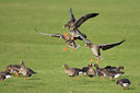 BUITEN BEELD Foto: 25600
