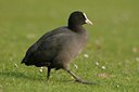 BUITEN BEELD Foto: 25621