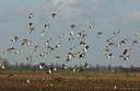 BUITEN BEELD Foto: 25633