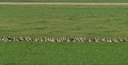 BUITEN BEELD Foto: 25640
