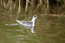 BUITEN BEELD Foto: 25665