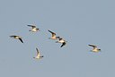 BUITEN BEELD Foto: 25675